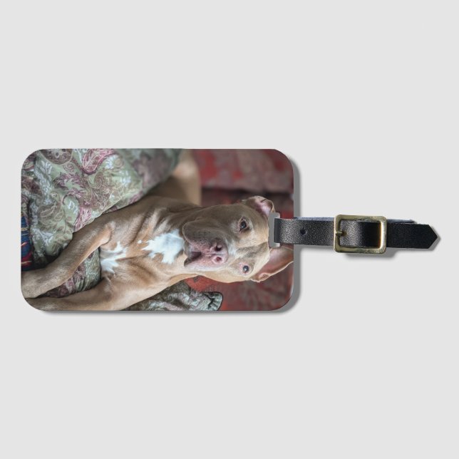 Pretty Pit Bull Luggage Tag (Front Horizontal)
