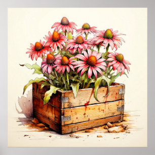 Pretty Planted Aster Flowers Poster