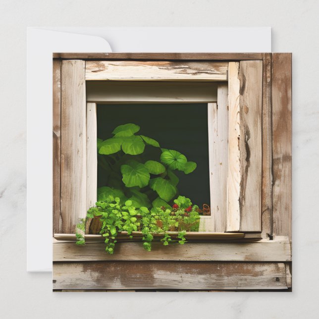 Pretty Plants in Rustic Window with Weathered Wood (Front)