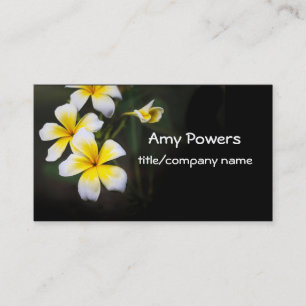 pretty Plumeria blooms flower photography Business Card