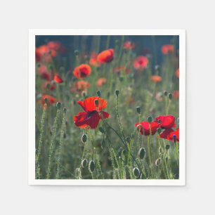 Pretty Poppies in Wild Meadow Photo Napkin