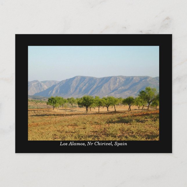 Pretty postcard of Los Alamos, Nr Chirivel, Spain (Front)