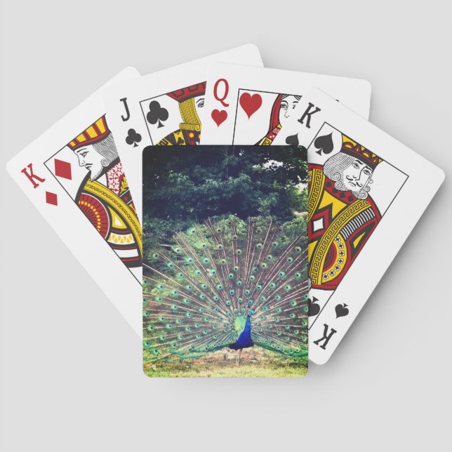 Pretty Preening Peacock Playing Cards (Back)