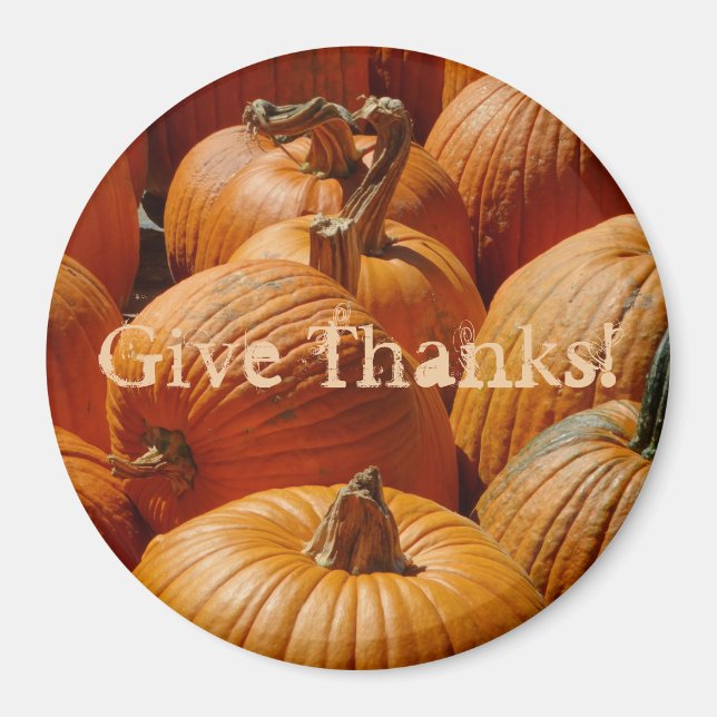 Pretty Pumpkins in the Patch on a Magnet (Front)