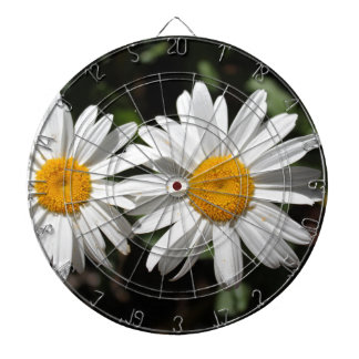 Pretty pure white daisy flowers dartboard