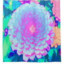 Pretty Purple and Pink Zinnia in the Summer Garden