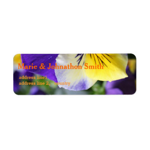 pretty purple and yellow pansy flowers
