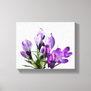 Pretty purple crocus floral modern floral digital canvas print