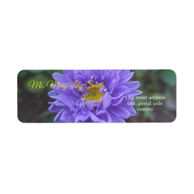 pretty purple daisy flowers (Front)