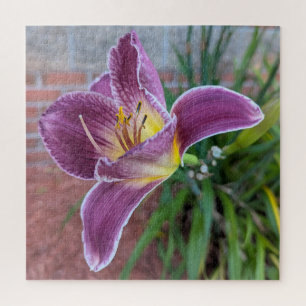 Pretty Purple Day Lily Jigsaw Puzzle