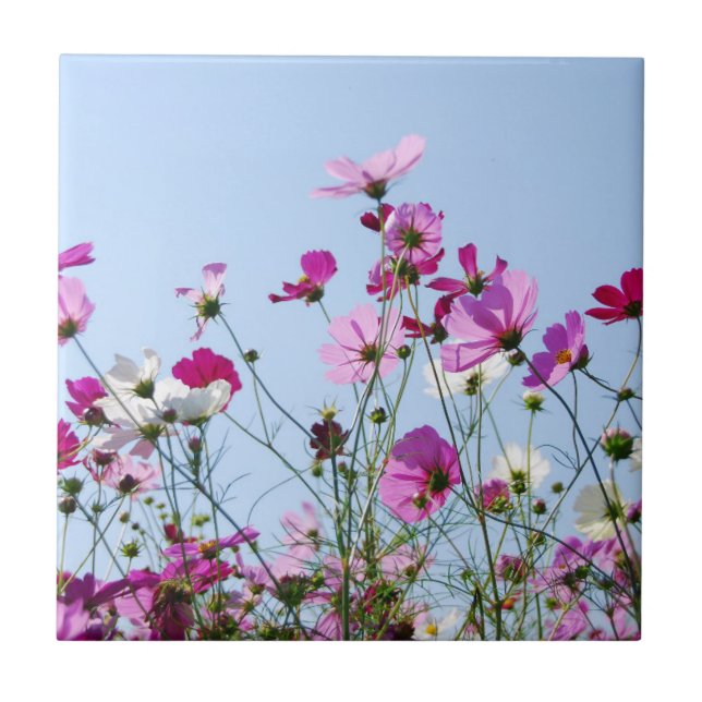Pretty Purple Flower Meadow Tile (Front)