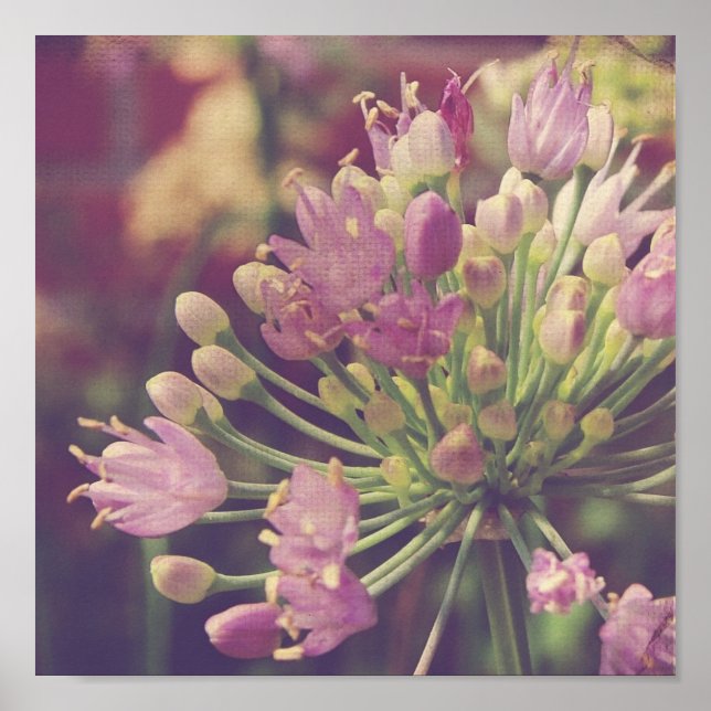 Pretty Purple Flower Poster (Front)