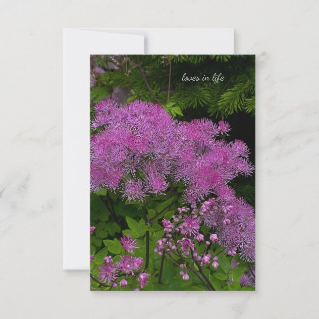 Pretty Purple Flowers Card (Front)