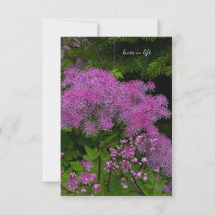 Pretty Purple Flowers Card