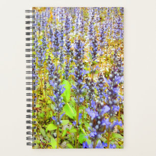 Pretty Purple Flowers Field Planner