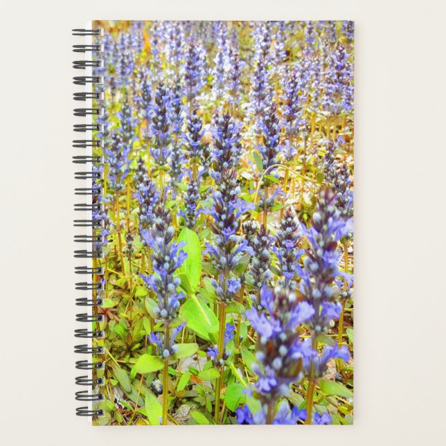 Pretty Purple Flowers Field Planner (Front)