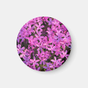 Pretty Purple Flowers Magnet