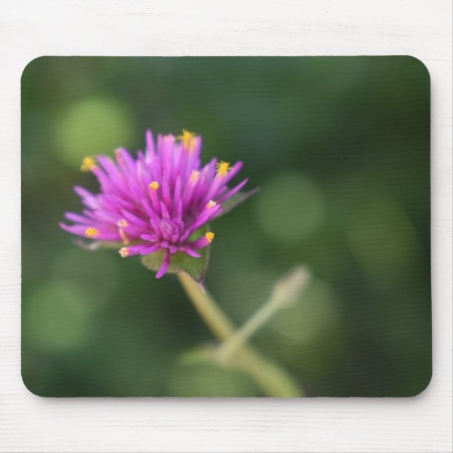 Pretty Purple Flowers Original Garden Photography Mouse Pad (Front)