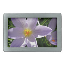 Pretty purple garden flower. 美丽的紫色花