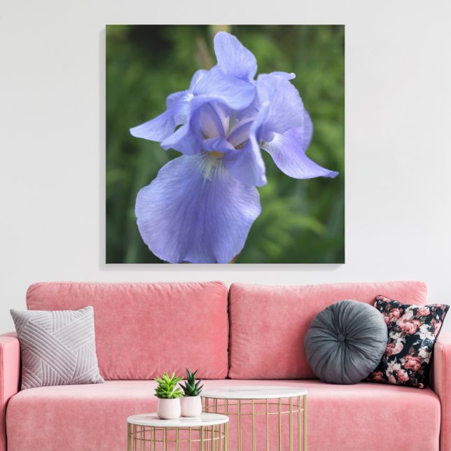 Pretty Purple Iris Flower Canvas Print (Insitu(LivingRoom))