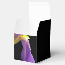 pretty purple iris flower in black background.