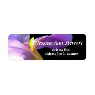 Pretty purple iris flower in black photo art