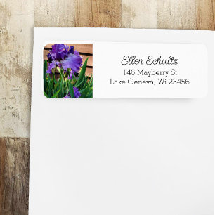 Pretty Purple Iris Flowers