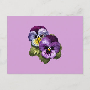 Pretty Purple Pansies Postcard