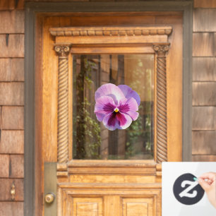 Pretty Purple Pansy Flower