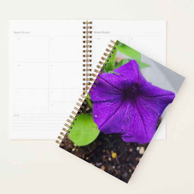 Pretty Purple Petunia Planner - Original Photo (Display)