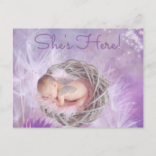 Pretty Purple "Shes Here" Baby Birth Announcement Postcard