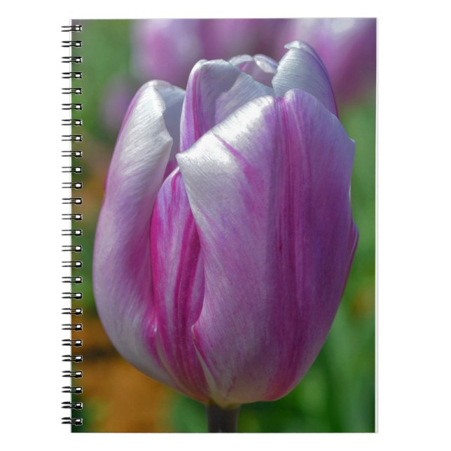 Pretty Purple Tulip Flower Art Journal Notebook (Front)