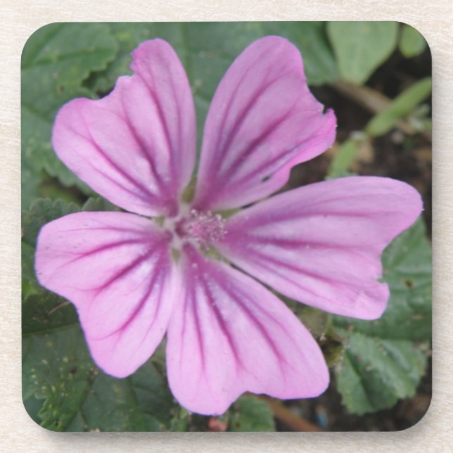 Pretty Purple Wildflower Cork Coaster (Front)