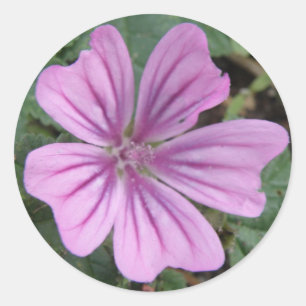 Pretty Purple Wildflower Sticker