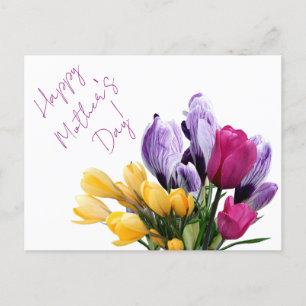 Pretty purple yellow pink tulip flowers for mum Holiday Postcard