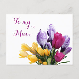 Pretty purple yellow pink tulip flowers for mum Holiday Postcard