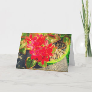 Pretty Red Blooming Flowers Card