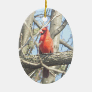 Pretty Red Cardinal Christmas Ceramic Tree Decoration
