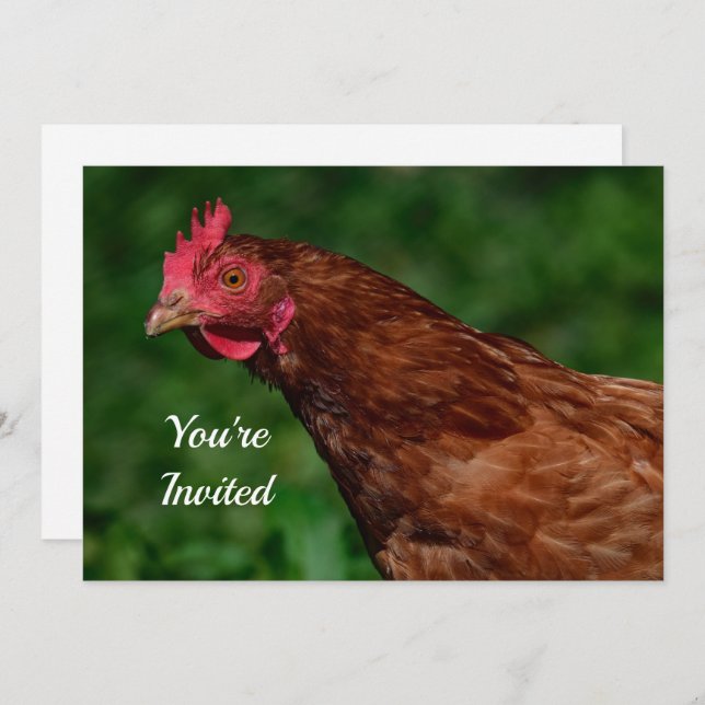 Pretty Red Chicken Face Photo Birthday Invitation (Front/Back)