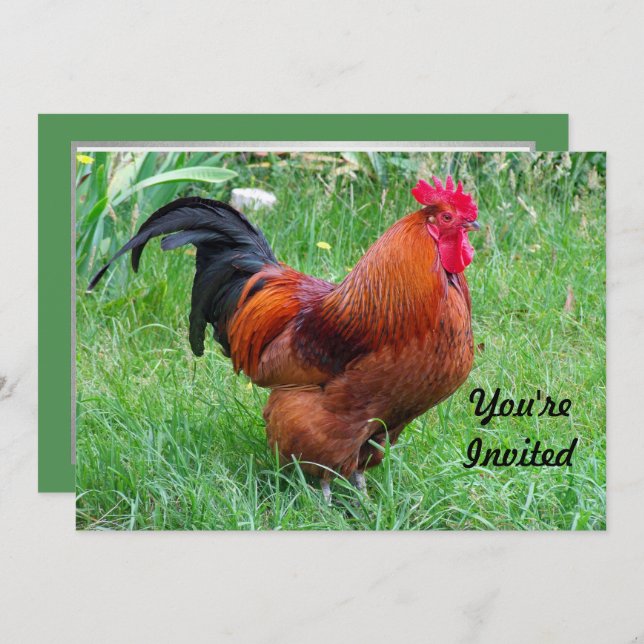 Pretty Red Chicken Profile Photo Birthday Invitation (Front/Back)