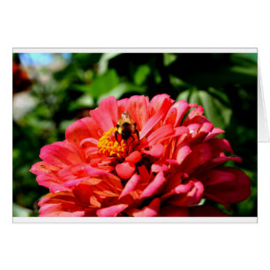 Pretty red floral and honeybee
