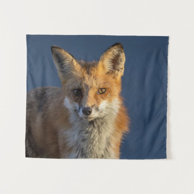 Pretty Red Fox  Tapestry (Front (Horizontal))