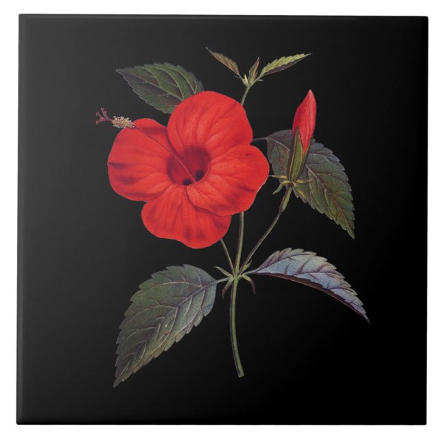 Pretty Red Hibiscus Flower Tile (Front)
