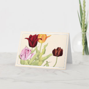 Pretty Red Orange & Pink Tulips Botanical Art Card
