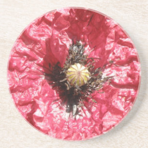 Pretty Red Poppy Flower Macro Coasters