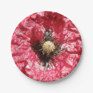 Pretty Red Poppy Flower Macro Paper Plate