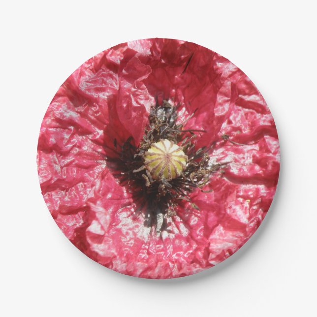 Pretty Red Poppy Flower Macro Paper Plate (Front)