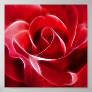 Pretty Red Rose Poster