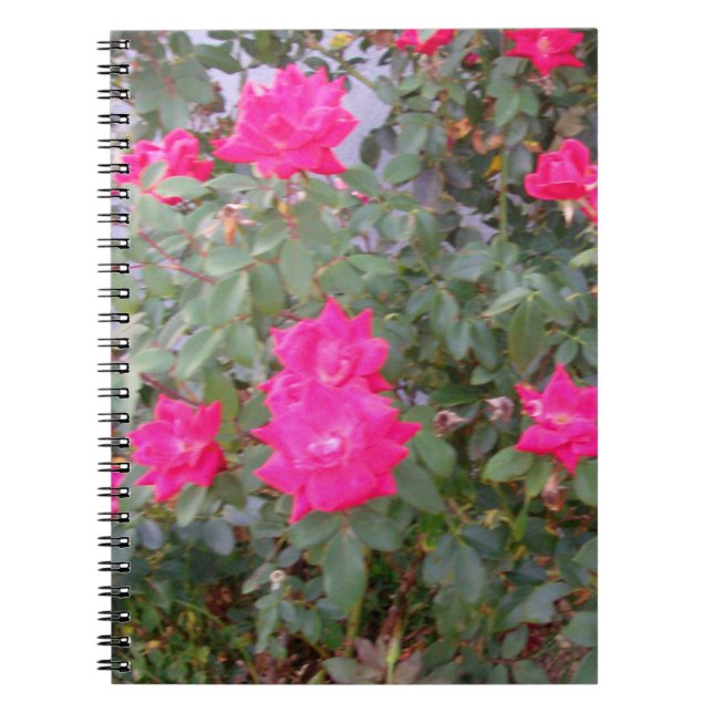 Pretty Red Roses Spiral Notebook (Front)