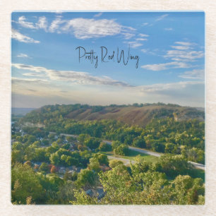 Pretty Red Wing Glass Coaster